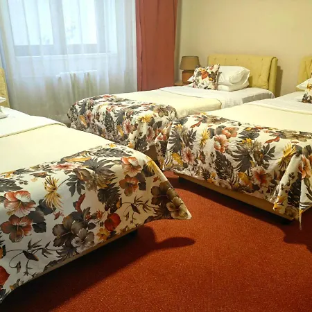 N Beograd