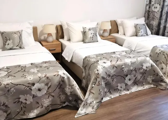 N 3* Βελιγράδι